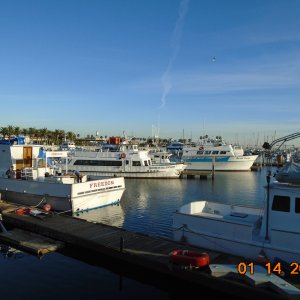 Fishing & Whalewatch charters