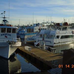 Fishing & Whalewatch charters