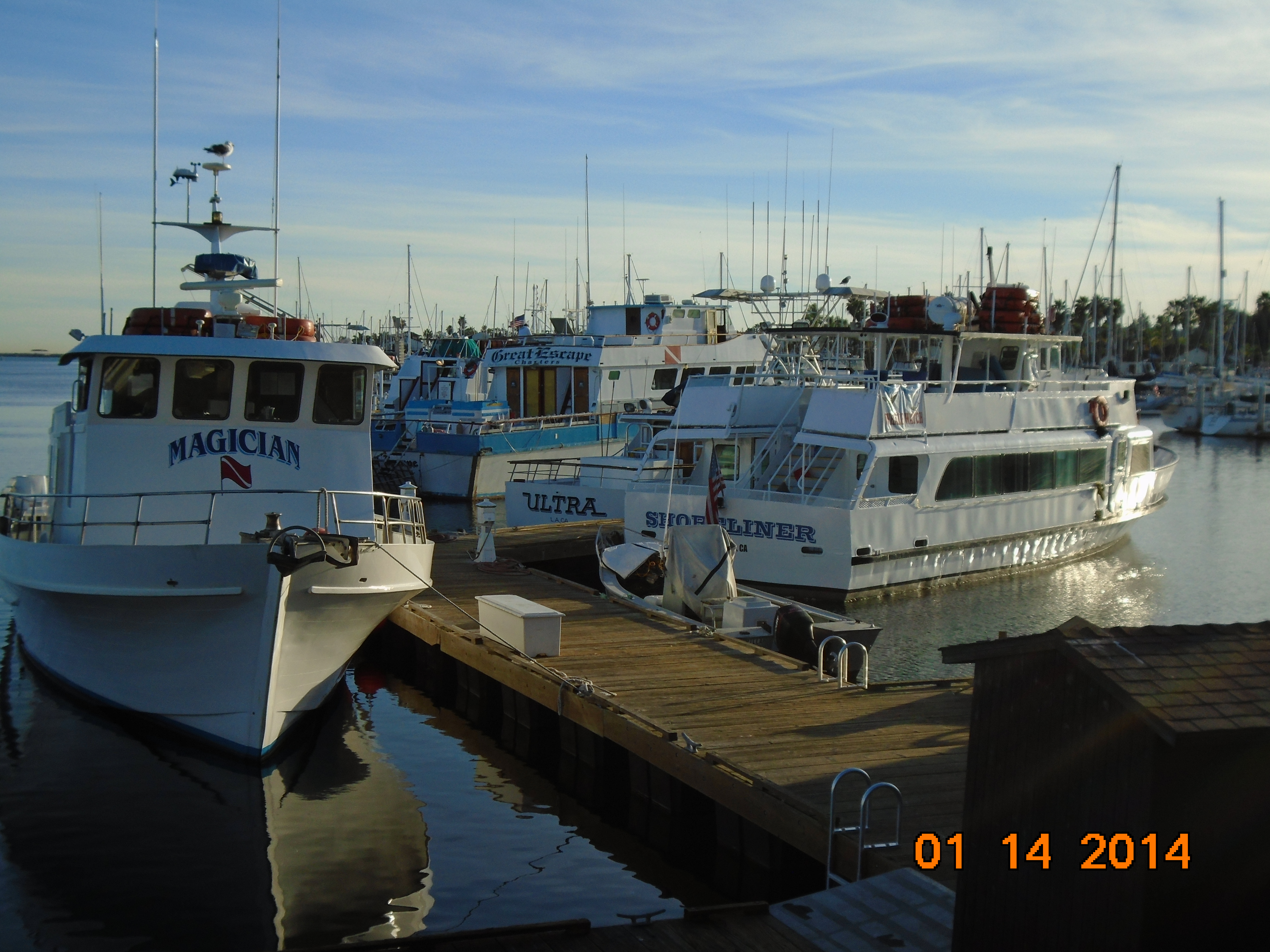 Fishing & Whalewatch charters